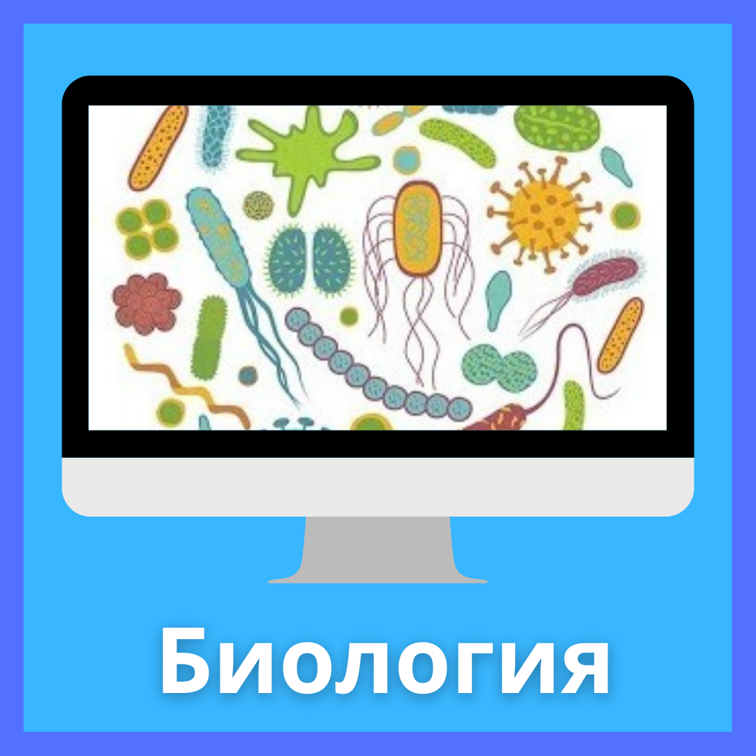 Биология
